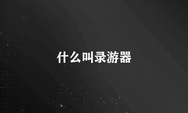 什么叫录游器