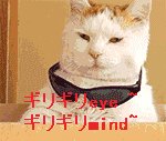 ギリギリ愛~ キリキリ舞~这首歌有毒 千万不要听!