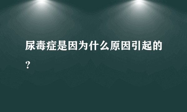 尿毒症是因为什么原因引起的？