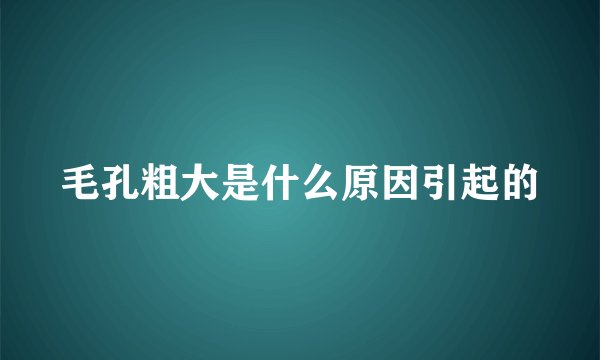 毛孔粗大是什么原因引起的