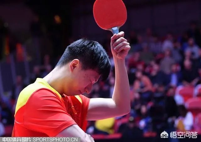 保公赛马龙3-4不敌皮切福德,日本赛2-4不敌张本智和,龙队究竟怎么了?