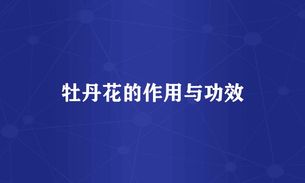 牡丹花的作用与功效