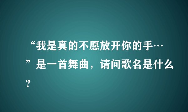 “我是真的不愿放开你的手…”是一首舞曲,请问歌名是什么?