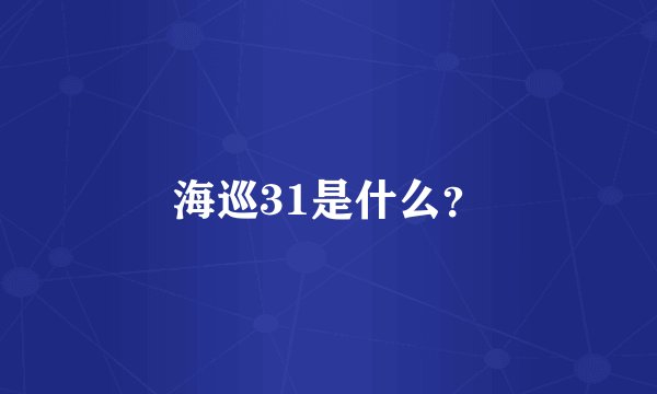 海巡31是什么？