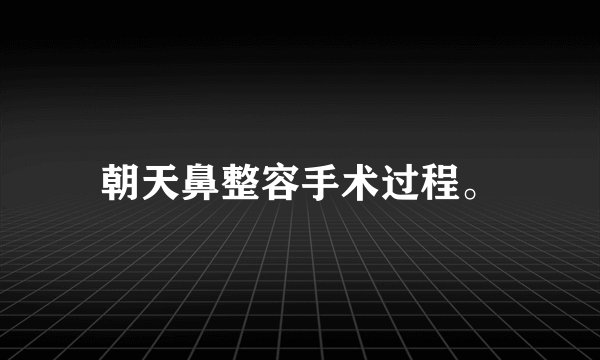 朝天鼻整容手术过程。