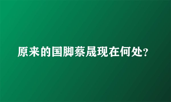 原来的国脚蔡晟现在何处？