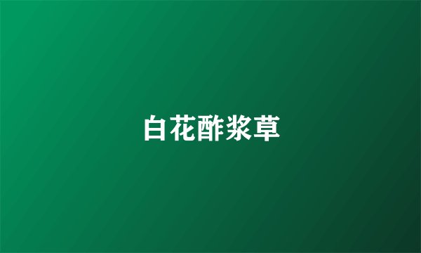 白花酢浆草