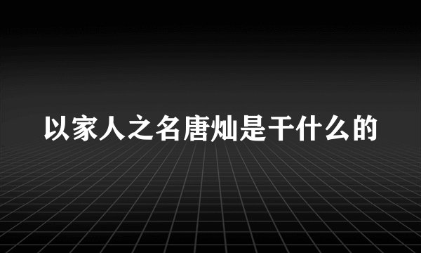 以家人之名唐灿是干什么的