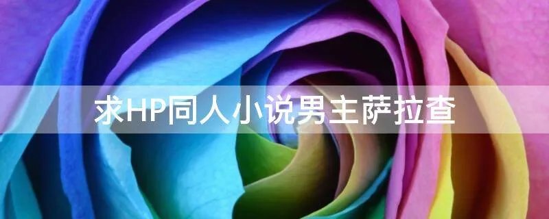 求HP同人小说男主萨拉查