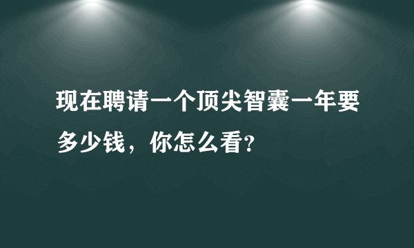 现在聘请一个顶尖智囊一年要多少钱，你怎么看？