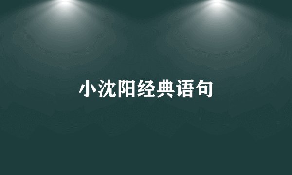 小沈阳经典语句