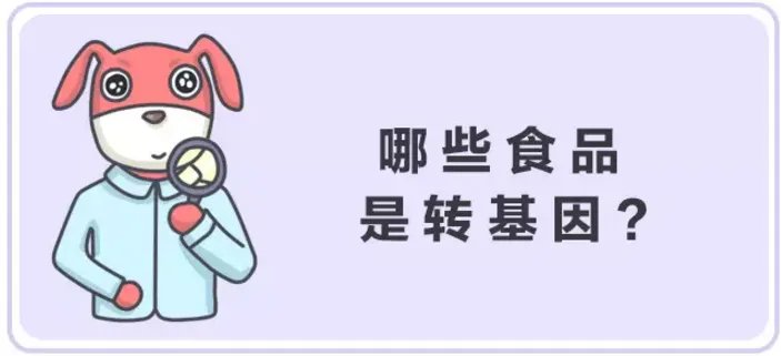 ”美国人不吃转基因食物”谁说的？他们吃得欢着呢！