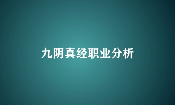 九阴真经职业分析