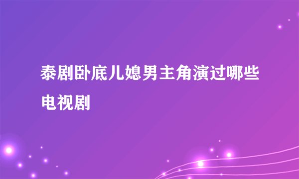 泰剧卧底儿媳男主角演过哪些电视剧