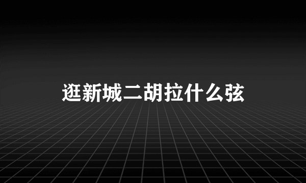 逛新城二胡拉什么弦