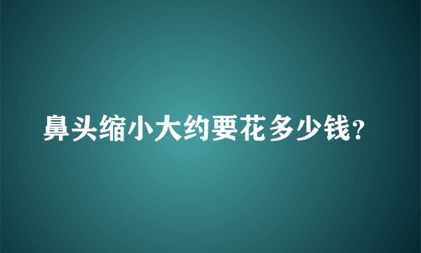 鼻头缩小大约要花多少钱？