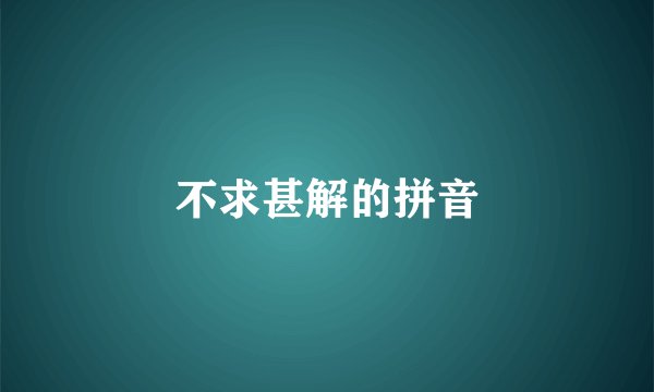 不求甚解的拼音
