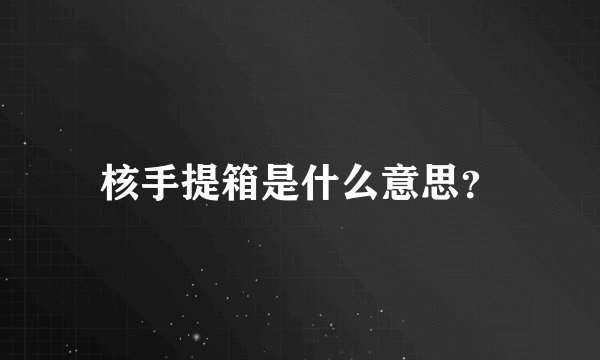 核手提箱是什么意思？