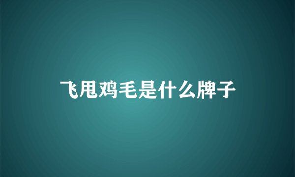 飞甩鸡毛是什么牌子