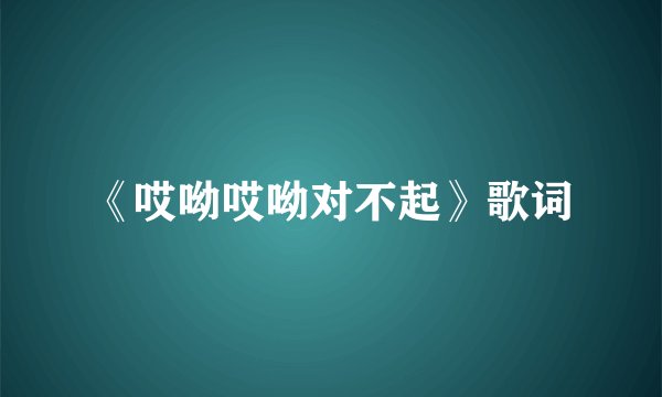 《哎呦哎呦对不起》歌词