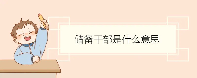 储备干部是什么意思
