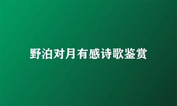 野泊对月有感诗歌鉴赏