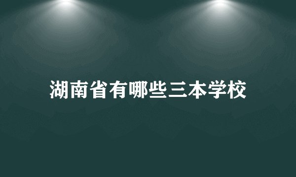 湖南省有哪些三本学校