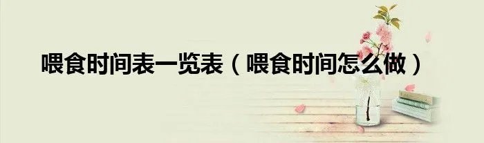 喂食时间表一览表（喂食时间怎么做）