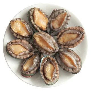 鲍鱼