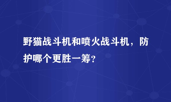 野猫战斗机和喷火战斗机，防护哪个更胜一筹？