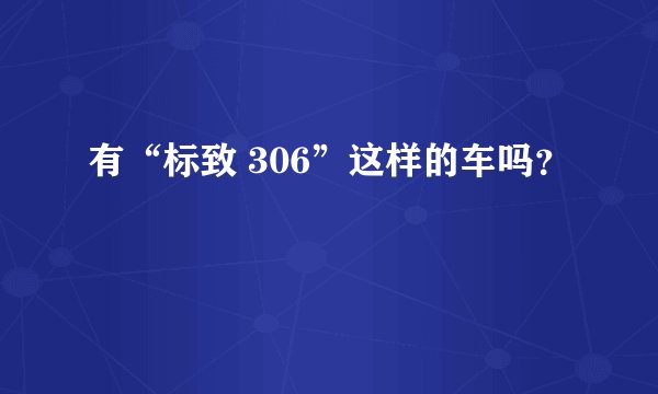 有“标致 306”这样的车吗?