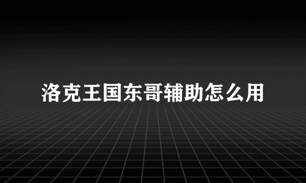 洛克王国东哥辅助怎么用