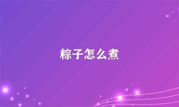 粽子怎么煮