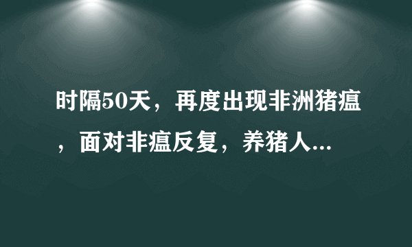 时隔50天，再度出现非洲猪瘟，面对非瘟反复，养猪人如何应对？
