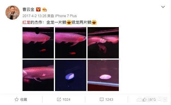 曹云金为什么感觉那么有钱?
