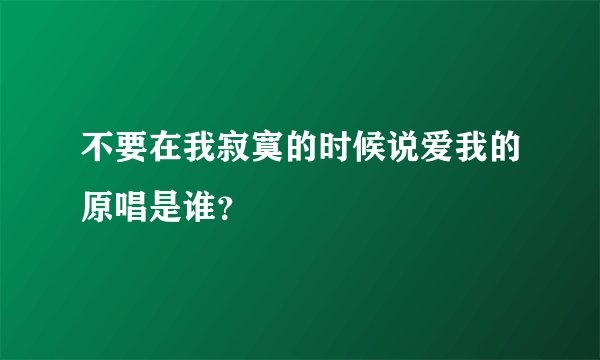 不要在我寂寞的时候说爱我的原唱是谁？