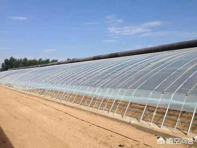 温室大棚的工作原理是什么?