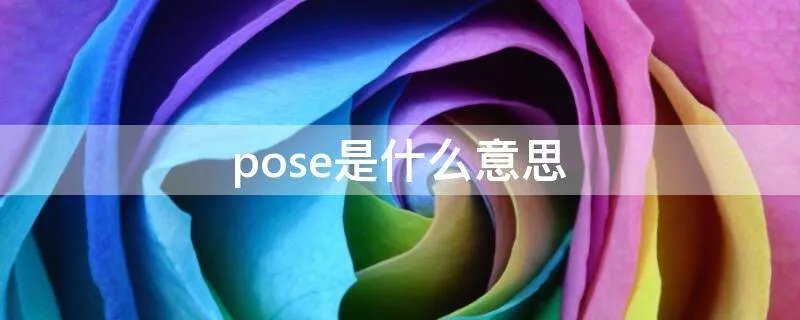 pose是什么意思