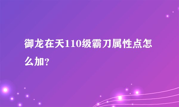 御龙在天110级霸刀属性点怎么加？