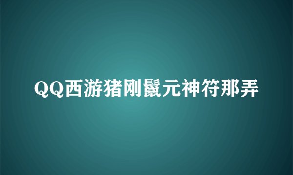 QQ西游猪刚鬣元神符那弄