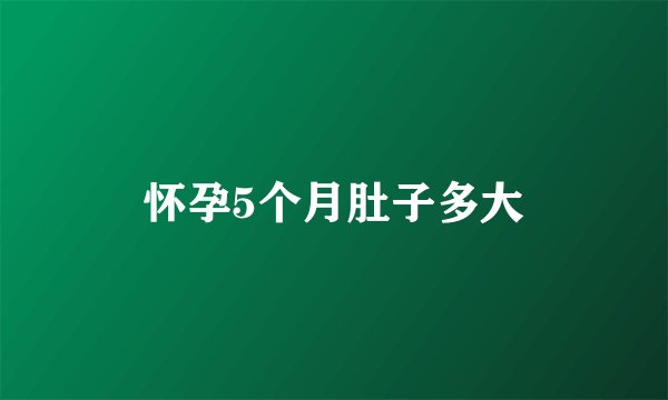 怀孕5个月肚子多大