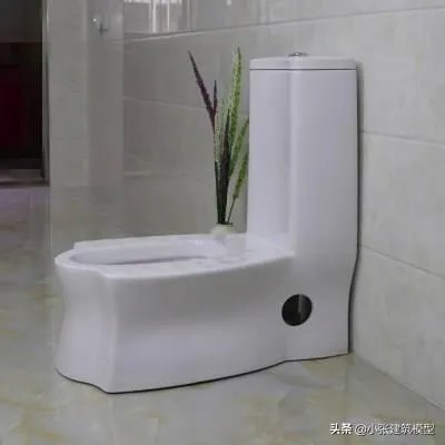 蹲坐两用马桶的缺点有哪些?