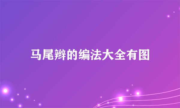 马尾辫的编法大全有图