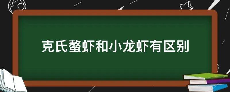 克氏螯虾和小龙虾有区别