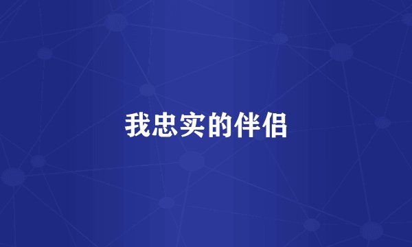 我忠实的伴侣