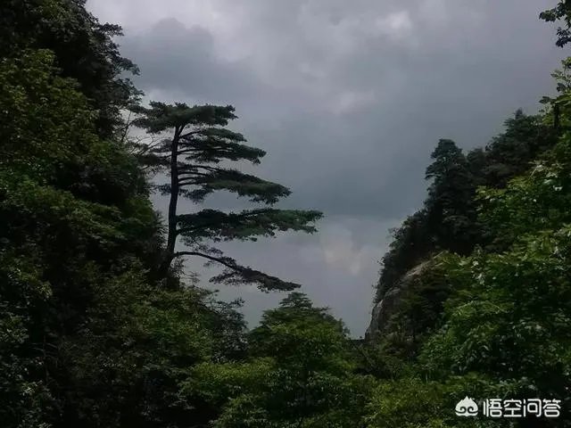韶关国家森林公园值得去玩吗?