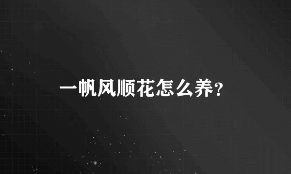 一帆风顺花怎么养？