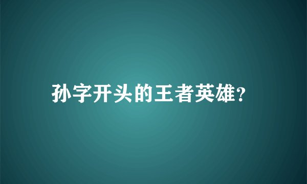 孙字开头的王者英雄？