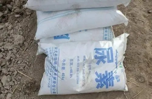 尿素和氯化铵哪种肥料容易使土壤板结?尿素的主要成分有哪些?