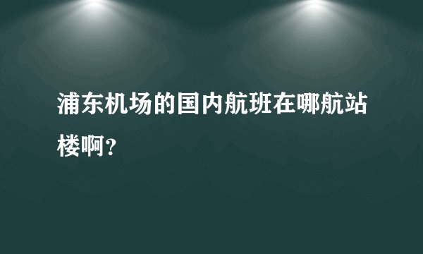 浦东机场的国内航班在哪航站楼啊？